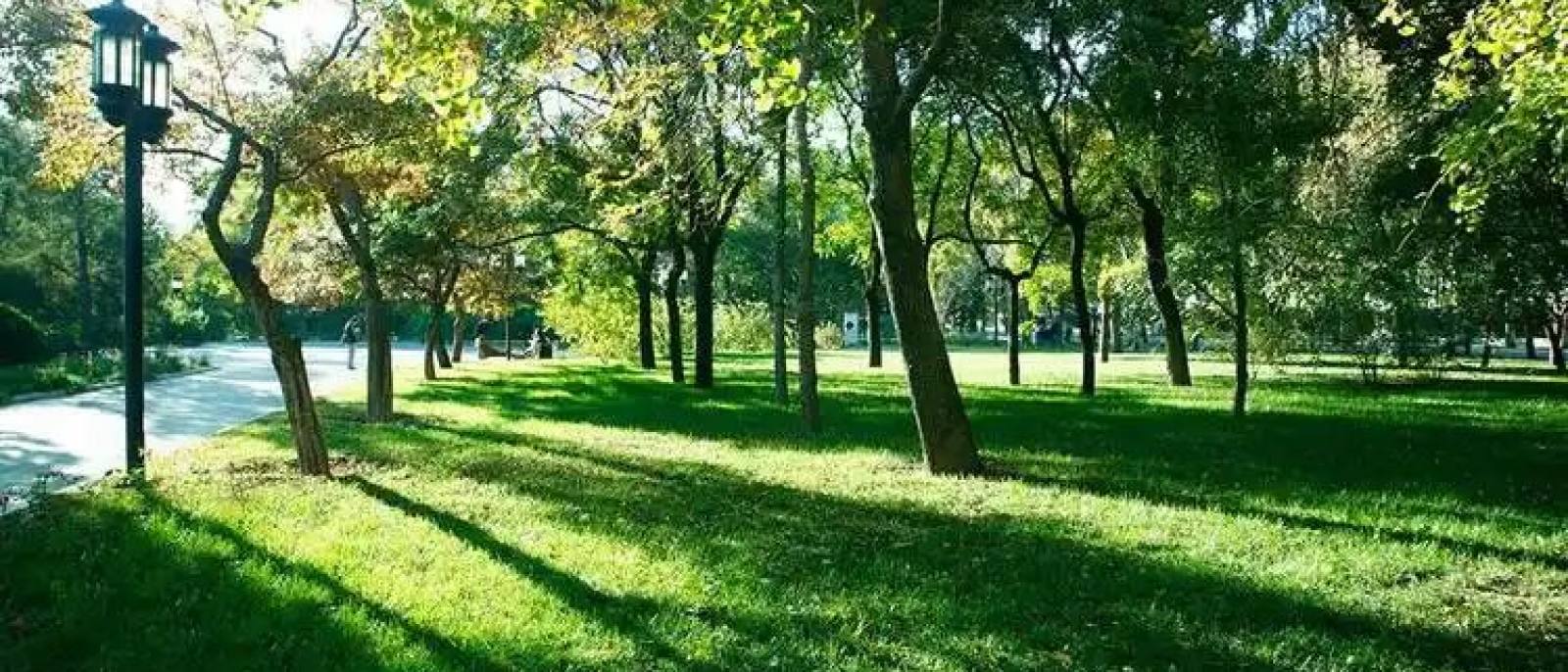 必一运动工程案例栏目：公园景观与道路绿化施工实景
