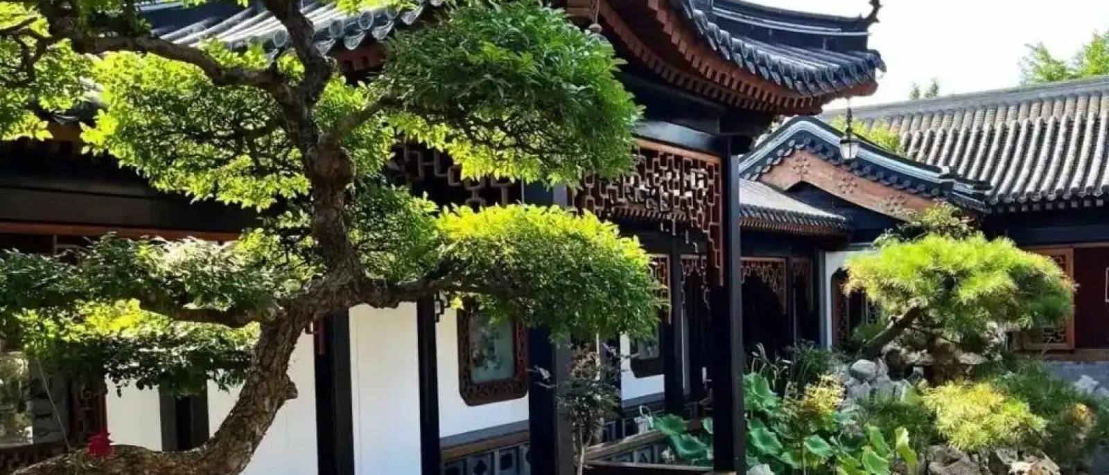 必一运动关于园林绿化栏目：苗木养护与生态修复作业场景