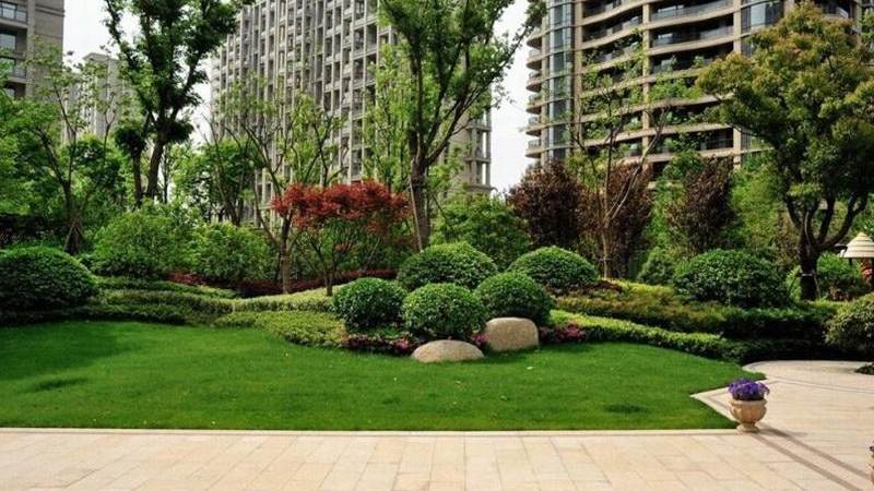 必一运动工程案例：市政道路绿化带施工记录